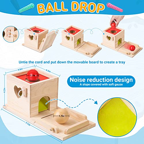 6-in-1 Wooden Play Kit Montessori Toy, Object Permanence Box, Coin Box, Carrot Harvest, Catch Worm, Shape Sorter - Toddler Learning Toy for Kid Age 1, 2, 3 Year Old, Girl boy Gift for Baby 6-12 Month