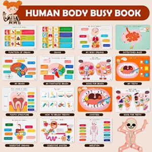 Freebear Montessori Busy Book for Kids, Human Body Anatomy Book for Toddlers, Preshool Kindergarten Learning Activities, Autism Sensory Toys, Travel Toys, Gifts for Girls and Boys 4 5 6 7 8 Years