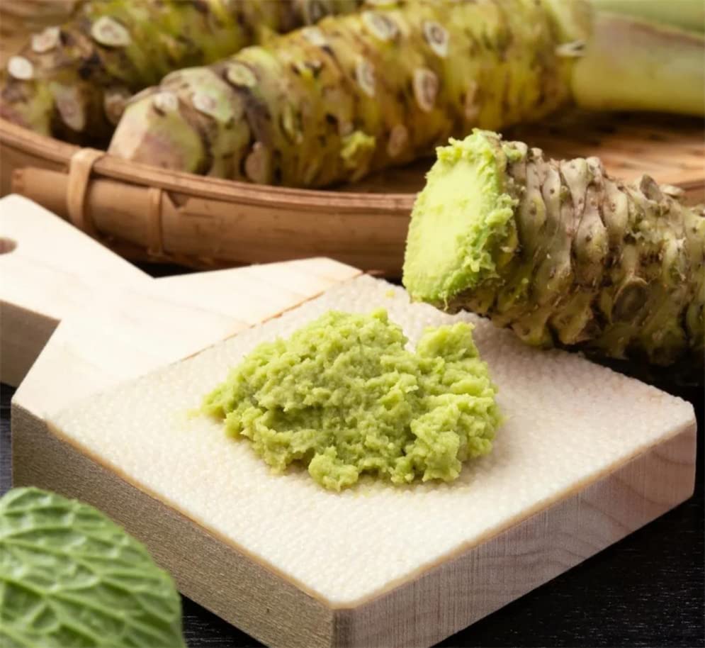 500+ Horseradish Wasabi Seeds for Planting Vegetable Seeds