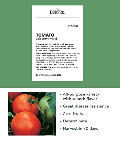 Burpee Celebrity Hybrid Tomato Seeds | Red Tomato Slicer | 35 Non-GMO Seeds for Planting | Disease-Resistant and Award-Winning Variety | Big Juicy Tomato for Summer Sandwiches