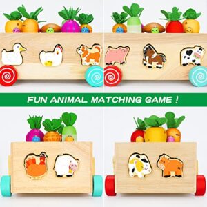 Wooden Montessori Toys for Toddlers Girl and Boy, Wooden Farm Animals Toys Gifts for Toddlers Age 2 3 4 Year Old, Wood Educational Shape Sorter Toys for Kids 1-3 Learning Fine Motor Skills