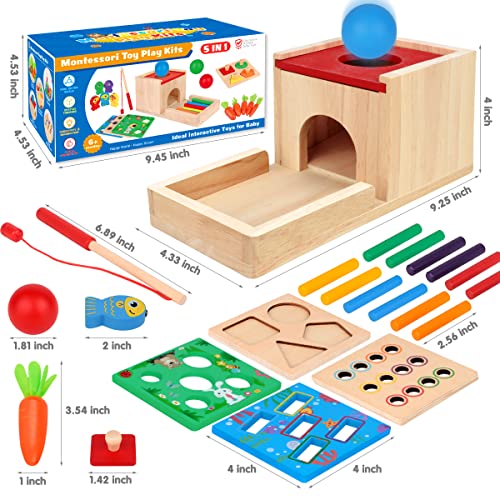 Montessori Toys for 1 2 3 Year Old, 5 in 1 Wooden Montessori Toys for Babies 6-12 Months, Toddler Toys Kit Includes Object Permanence Box with Ball Drop Toy, Shape Sorter & Other Educational Toys