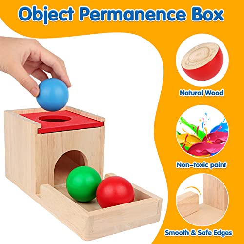 Montessori Toys for 1 2 3 Year Old, 5 in 1 Wooden Montessori Toys for Babies 6-12 Months, Toddler Toys Kit Includes Object Permanence Box with Ball Drop Toy, Shape Sorter & Other Educational Toys