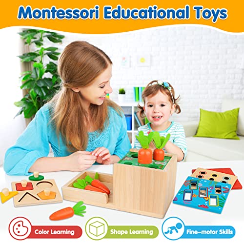Montessori Toys for 1 2 3 Year Old, 5 in 1 Wooden Montessori Toys for Babies 6-12 Months, Toddler Toys Kit Includes Object Permanence Box with Ball Drop Toy, Shape Sorter & Other Educational Toys