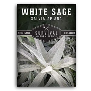 survival garden seeds - white sage seed for planting - grow sustainable smudging incense - pack with instructions to plant & grow in your home garden - non-gmo heirloom variety - 1 packet