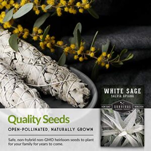 Survival Garden Seeds - White Sage Seed for Planting - Grow Sustainable Smudging Incense - Pack with Instructions to Plant & Grow in Your Home Garden - Non-GMO Heirloom Variety - 1 Packet