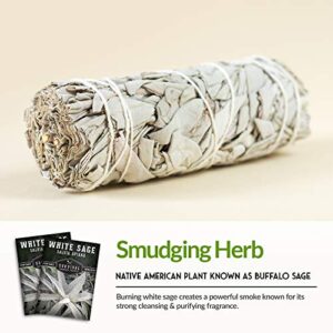 Survival Garden Seeds - White Sage Seed for Planting - Grow Sustainable Smudging Incense - Pack with Instructions to Plant & Grow in Your Home Garden - Non-GMO Heirloom Variety - 1 Packet