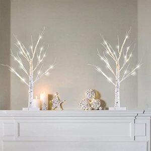 yeahome 2 pack 2ft/24” birch tree light with 18lt warm white leds battery powered timer for christmas decorations indoor, artificial tabletop money tree for wedding party desk table mantel home decor