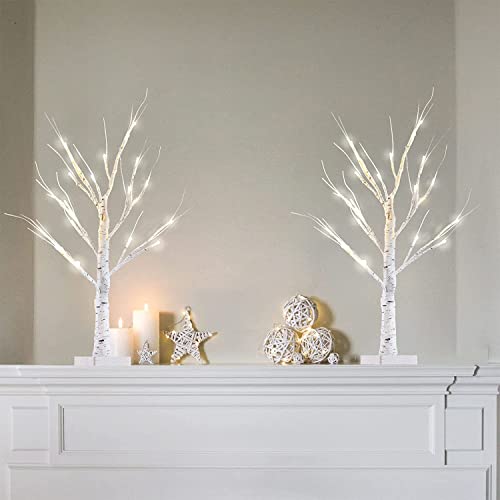 YEAHOME 2 Pack 2FT/24” Birch Tree Light with 18LT Warm White LEDs Battery Powered Timer for Christmas Decorations Indoor, Artificial Tabletop Money Tree for Wedding Party Desk Table Mantel Home Decor