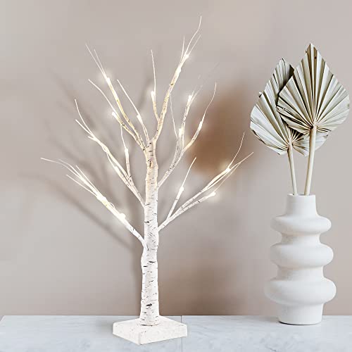 YEAHOME 2 Pack 2FT/24” Birch Tree Light with 18LT Warm White LEDs Battery Powered Timer for Christmas Decorations Indoor, Artificial Tabletop Money Tree for Wedding Party Desk Table Mantel Home Decor