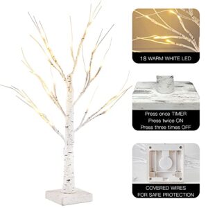 YEAHOME 2 Pack 2FT/24” Birch Tree Light with 18LT Warm White LEDs Battery Powered Timer for Christmas Decorations Indoor, Artificial Tabletop Money Tree for Wedding Party Desk Table Mantel Home Decor