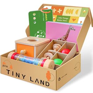 tiny land montessori toys for babies 6-12 months-4 in 1 wooden learning educational toy set includes teething toy, rainmaker baby toy, flash card and object permanence box-gift for 1 year old infant