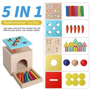 BESTAMTOY Wooden Montessori Toy for 1+ Year Old, Shape Sorter,Object Permanence Box, Coin Box, Carrot Harvest, Toddler Learning Toy for Kid Age 1, 2, 3 Year Old, Girl boy Gift for Baby 6-12 Month