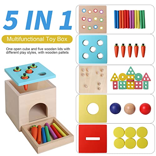 BESTAMTOY Wooden Montessori Toy for 1+ Year Old, Shape Sorter,Object Permanence Box, Coin Box, Carrot Harvest, Toddler Learning Toy for Kid Age 1, 2, 3 Year Old, Girl boy Gift for Baby 6-12 Month