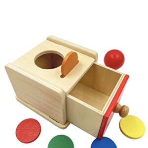 Dailyfunn Montessori Toys Coin&Ball 2-in-1 Drop Box Object Permanence Box for Infant Baby Preschooler 6-24 Months