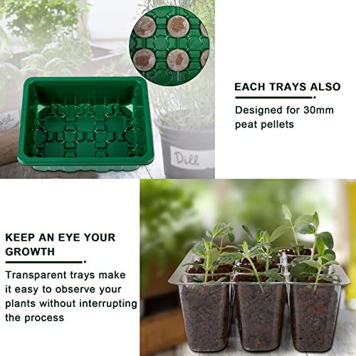 JERIA 20 Packs (240 Cell Seedling Starter Trays) Seed Starter Tray Seed Starter Kit with Humidity Adjustable Dome,Plant Germination Trays for Seeds Growing Starting Plant Starter Kit (Green and Black)