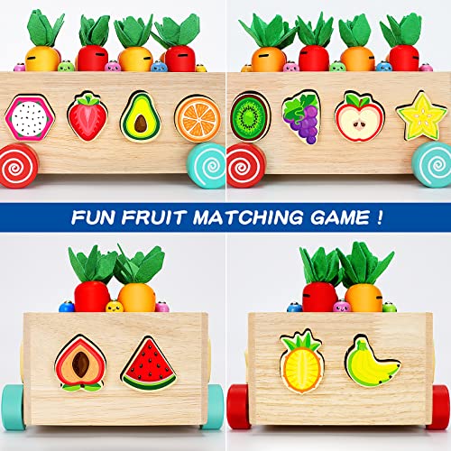 Wooden Montessori Toys for 1 2 3 Year Old Baby Girls Boys, Wood Shape Sorter Toys Gifts for Toddlers Learning Fine Motor Skills, Carrot Harvest Game Educational Toys