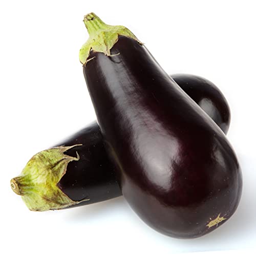 TKE Farms - Black Beauty Eggplant Seeds for Planting, 2 Grams ≈ 400 Seeds, Solanum melongena