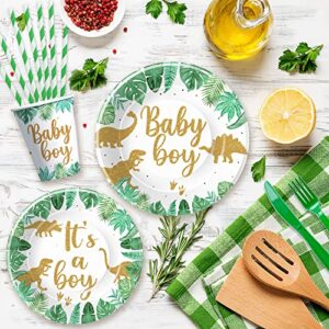 HIPVVILD Dinosaur Baby Shower Decorations for Boy - Jungle Safari Theme Baby Shower Party Supplies Include Plates, Cups, Napkins, Tablecloth, Straws, Cutlery, Dinosaur Baby Boy Decorations | Serve 24