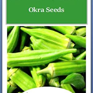 100 Clemson Spineless Okra Seeds | Non-GMO | Fresh Garden Seeds