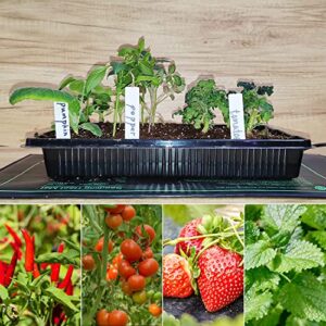 Seed Starter Tray, 40 Cells Seed Starter Kit with Seedling Heat Mat, Germination Tray with Humidity Control Domes, Cloning Kit, Propagation and Germination Station, Heat Mat for Plants Starter Kit