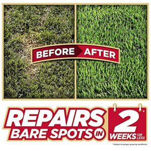 Pennington One Step Complete Sun & Shade Bare Spot Grass Seed, 5 Pounds, White