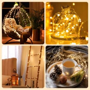 Twinkle Star 33FT 100 LED Silver Wire String Lights Fairy String Lights Battery Operated LED String Lights for Christmas Wedding Party Home Holiday Decoration, Warm White, Pack of 1