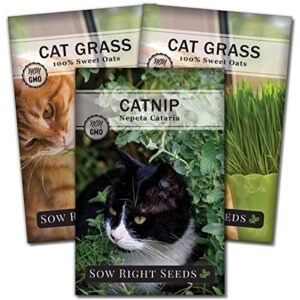sow right seeds - catnip and cat grass seed collection for planting indoors or outdoors, includes the popular herb seed catnip and cat grass (100% sweet oat grass), non-gmo heirloom seed