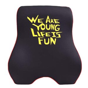we are young life is fun™ ergonomic back cushion for cars, offices, and home - memory foam cushion