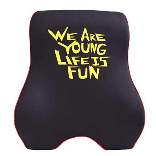 We Are Young Life is Fun™ Ergonomic Back Cushion for Cars, Offices, and Home - Memory Foam Cushion