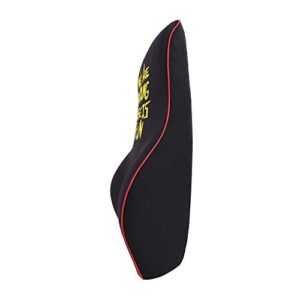 We Are Young Life is Fun™ Ergonomic Back Cushion for Cars, Offices, and Home - Memory Foam Cushion