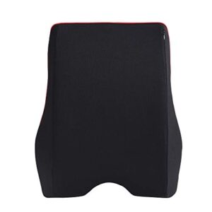 We Are Young Life is Fun™ Ergonomic Back Cushion for Cars, Offices, and Home - Memory Foam Cushion