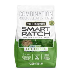 pennington smart patch tall fescue mix 10 lb