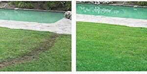 Hydro Mousse Liquid Lawn - Bermuda Grass Seed Mixture - Grow Grass Where You Spray it - Seed Like The Pros
