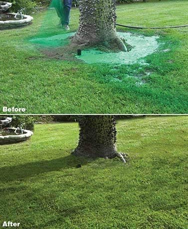 Hydro Mousse Liquid Lawn - Bermuda Grass Seed Mixture - Grow Grass Where You Spray it - Seed Like The Pros