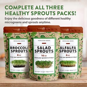 Broccoli Seeds for Sprouting or Microgreens - High Germination Sprout Seeds | Heirloom & Non-GMO | Nutritious Micro Greens Seeds - Broccoli Sprouts in 5 Days - Sulforaphane Rich