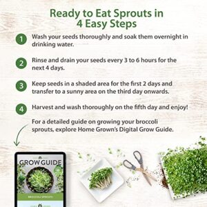 Broccoli Seeds for Sprouting or Microgreens - High Germination Sprout Seeds | Heirloom & Non-GMO | Nutritious Micro Greens Seeds - Broccoli Sprouts in 5 Days - Sulforaphane Rich