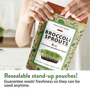 Broccoli Seeds for Sprouting or Microgreens - High Germination Sprout Seeds | Heirloom & Non-GMO | Nutritious Micro Greens Seeds - Broccoli Sprouts in 5 Days - Sulforaphane Rich