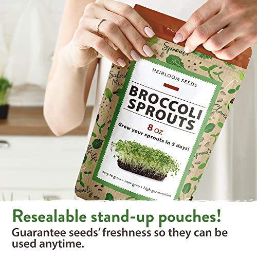 Broccoli Seeds for Sprouting or Microgreens - High Germination Sprout Seeds | Heirloom & Non-GMO | Nutritious Micro Greens Seeds - Broccoli Sprouts in 5 Days - Sulforaphane Rich