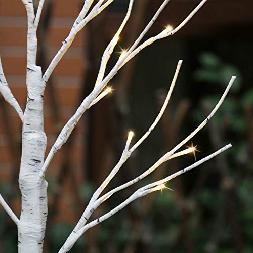 EAMBRITE Tabletop Tree Home Decorations, Mini Birch Tree with Lights, 24 LED Money Tree White Twig Tree Battery Operated with Timer, Christmas Centerpiece, Mothers Day, Spring Decor(2FT/Warm White)