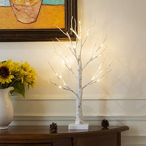 EAMBRITE Tabletop Tree Home Decorations, Mini Birch Tree with Lights, 24 LED Money Tree White Twig Tree Battery Operated with Timer, Christmas Centerpiece, Mothers Day, Spring Decor(2FT/Warm White)