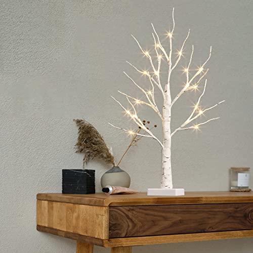 EAMBRITE Tabletop Tree Home Decorations, Mini Birch Tree with Lights, 24 LED Money Tree White Twig Tree Battery Operated with Timer, Christmas Centerpiece, Mothers Day, Spring Decor(2FT/Warm White)