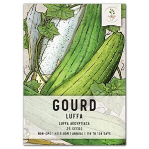 seed needs, luffa gourd seeds for planting (luffa aegyptiaca) single package of 25 seeds - heirloom, non-gmo & untreated - grow your own sponges
