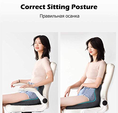 Odekai Ergonomic Seat Cushion for Office Chair, Orthopedic Memory Foam Coccyx Cushion for Tailbone Pain - Office Chair Car Seat Cushion - Seat Cushions for Pressure Relief