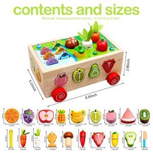 Tooysea Toddler Educational Toys | Montessori Multifunctional Toys for 2 3 4 Year Old Girls Boys, Wooden Shape Sorting Counting Puzzle Carrots Harvest Game, Preschool Learning Gifts for Kids