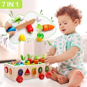 Tooysea Toddler Educational Toys | Montessori Multifunctional Toys for 2 3 4 Year Old Girls Boys, Wooden Shape Sorting Counting Puzzle Carrots Harvest Game, Preschool Learning Gifts for Kids