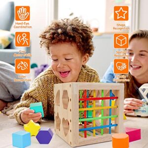 HELLOWOOD Montessori Toys for 1+ Year Old, Wooden Sorter Cube with 8pcs Rattling Shapes, Developmental Learning Toy Gifts for Baby Girls Boys 6-12-18 Months, Gift Packaging