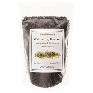 broccoli seeds for sprouting & microgreens | waltham 29 variety | non gmo & heirloom seeds | bulk 1 lb (16 oz) resealable bag | rainbow heirloom seed co.