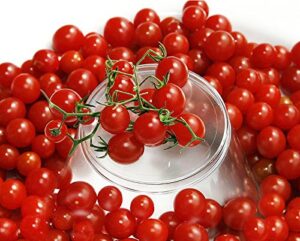30+ sweet pea currant tomato seeds, heirloom non-gmo, extra sweet and heavy-yielding, low acid, indeterminate, open-pollinated, long season, super delicious, from usa