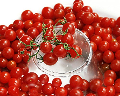 30+ Sweet Pea Currant Tomato Seeds, Heirloom Non-GMO, Extra Sweet and Heavy-Yielding, Low Acid, Indeterminate, Open-Pollinated, Long Season, Super Delicious, from USA